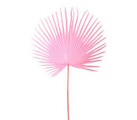 Декоративний лист пальми, рожевий